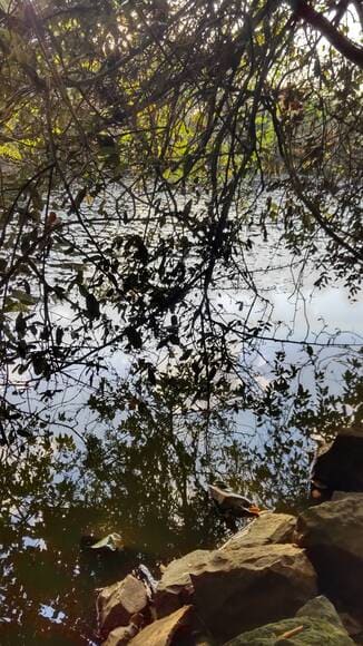 【画像】路上生活者の為にお家作ったｗｗｗｗｗｗｗｗｗｗｗ