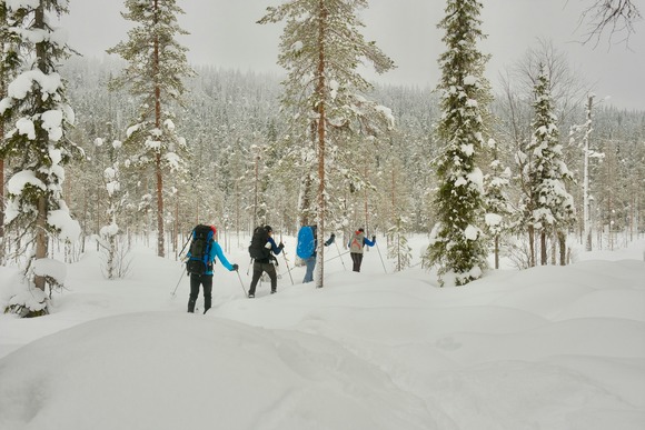 ブラックダイアモンドのスポット使ってるんだけど、照射部分にひび割れというか浅めの亀裂が入ってしまって(これが2回目)。