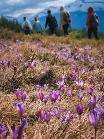 登山って結構コスパ良い趣味なんかな？