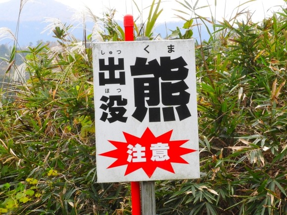 もしかしたらクマが絶滅しても何も困らないんじゃね？