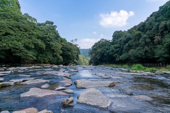川の水は飲むなって言われるけど昔の人は川の水飲んでたじゃん