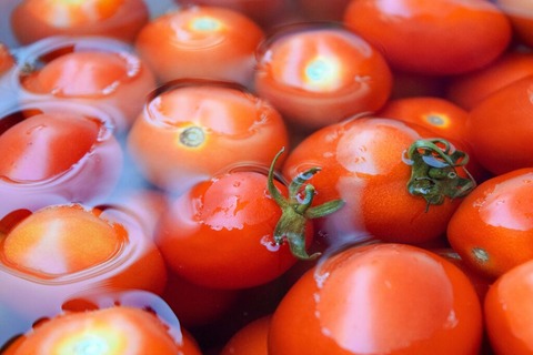 tomato