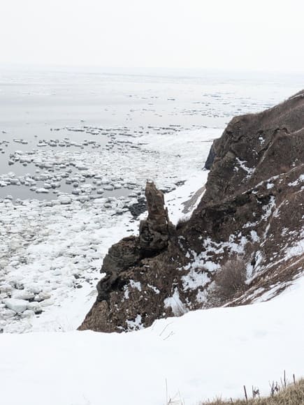 【画像】流氷見に来た