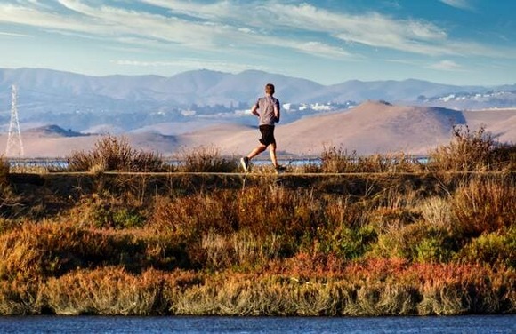 フルマラソン走れる奴ってすごくね？