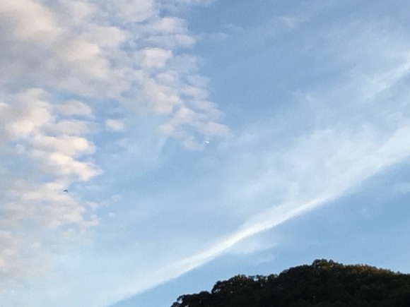 【画像】山に来た！モヤすごい