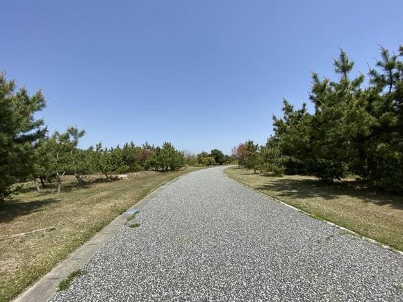 【画像】引きこもりなんだが敵が到来したから公園に逃げてきた