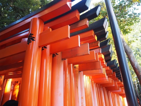 【画像】伏見稲荷、牛串6000円！！！！