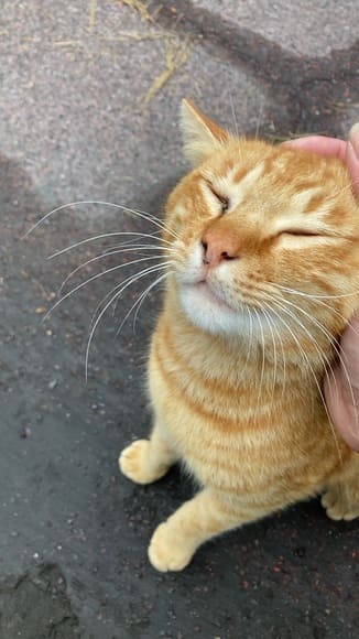 1361