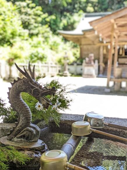 【画像】龍が祀られてるっぽい神社にきた