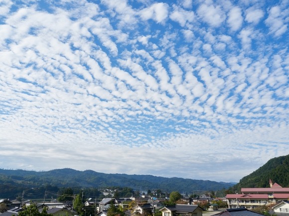 田舎暮らしで会社に行かないで安定した収入を得て生活するのが1番理想だな