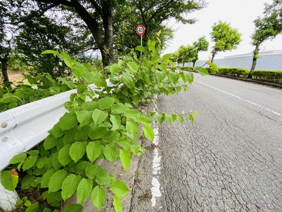 日本各地に「壊れた橋」や「凸凹の道路」が急増！どうなっちゃったのこの国・・・