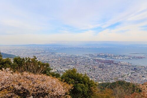 「韓国と日本の警察、素晴らしい」日本旅行中に摩耶山で遭難した10代女性を救助…韓国警察官の“機転”に拍手