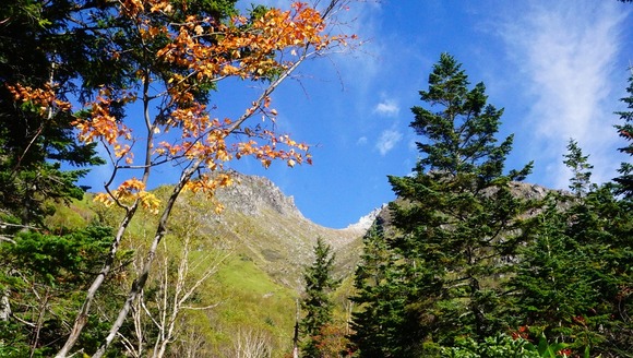 11-2