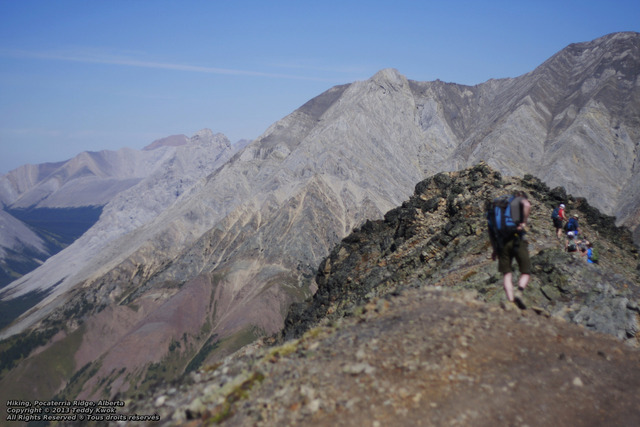 9029755387_9057849ce1_k