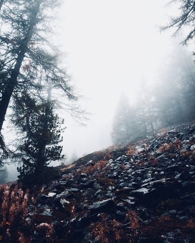 冬山