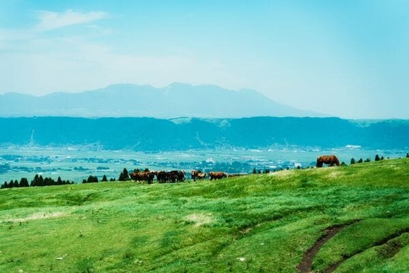 【九州】今年行くべき場所ベスト10！米紙が日本で唯一選出