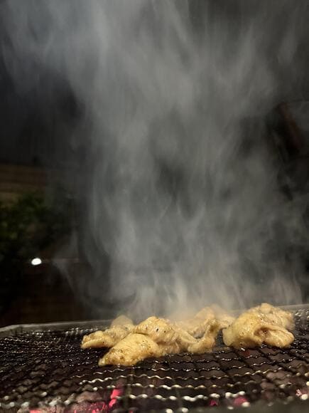 【画像あり】ワイドカタ、久しぶりに庭でBBQするｗｗｗｗｗｗｗｗｗｗｗｗｗｗｗ