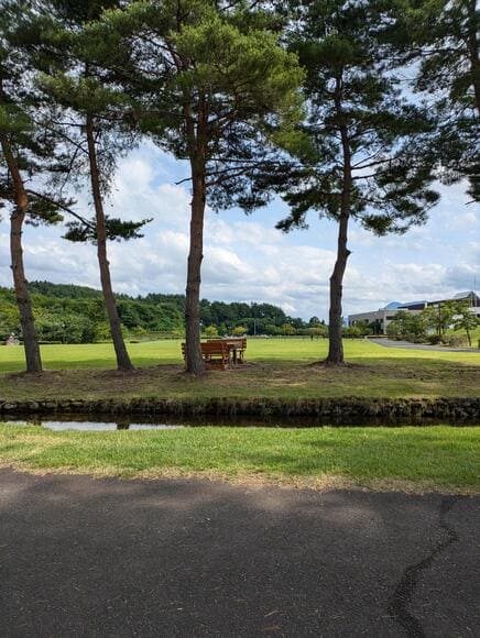 【画像】公園にきた！日が陰ると涼しい