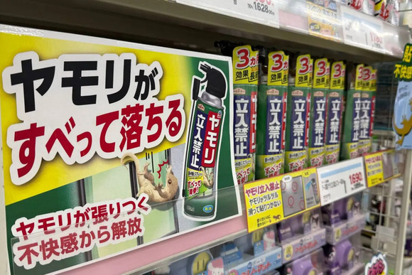 ヤモリを防ぐスプレー商品が「益獣なのになぜ？」と物議　アース製薬に「開発の経緯」聞いた