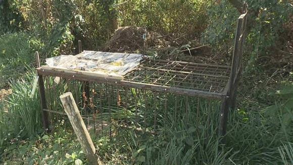 【千葉】80kgのイノシシが暴れ…男性かまれ 30針縫うけが　もりで突いて駆除