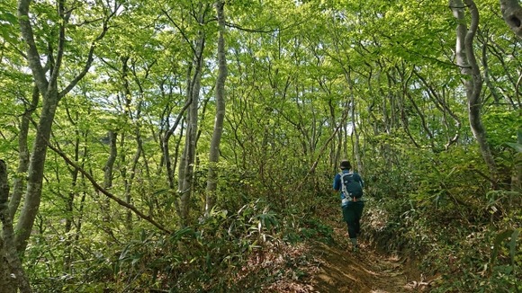 せっかくの3連休が彼岸の墓参りで終わりそう・・・