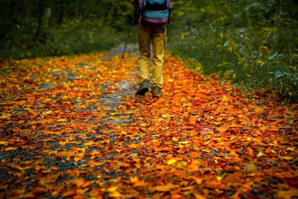 登山ウェアの類、黒選びがち…帽子から靴まで全身真っ黒になる