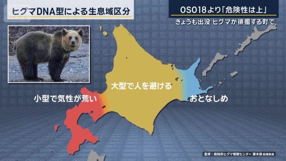 900169240_img_800dbf9db04e1224a0f43f9f0bc9cf2b106008