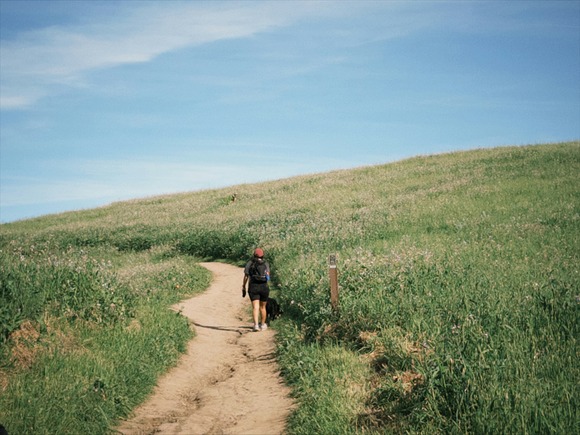 韓国人って山登りめっちゃ好きらしい