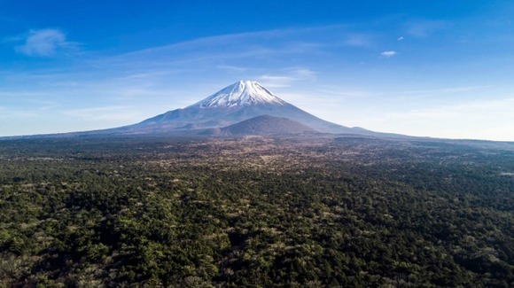 【※】画像生成AIに「青木ヶ原」と入力すると同じ女性が何度も出てくることが判明