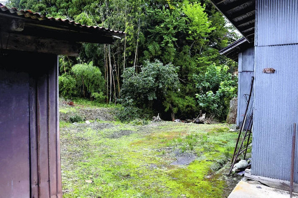 【山形】自宅敷地に1メートルのクマ…襲われた男性は何度も必死に殴り返し…3日間入院