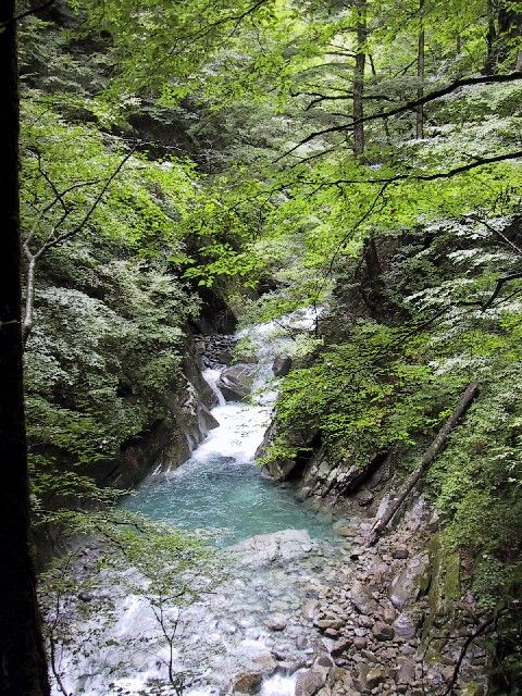 登山ちゃんねる