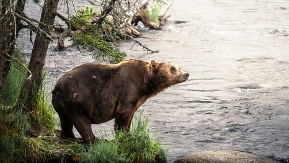 pietro-dona-dvIiw5H13Qc-unsplash (1)