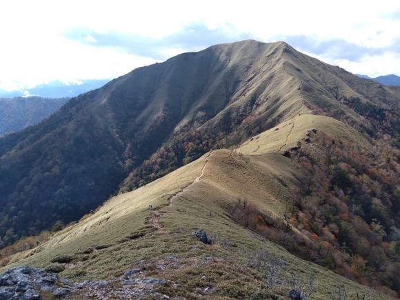 四国にはいないはずのクマ、登山してた外国人によって嘘だとバレる