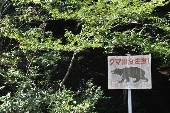 ツキノワグマを舐めてるやつは乗鞍岳の症例報告を読んでから発言してほしいよね