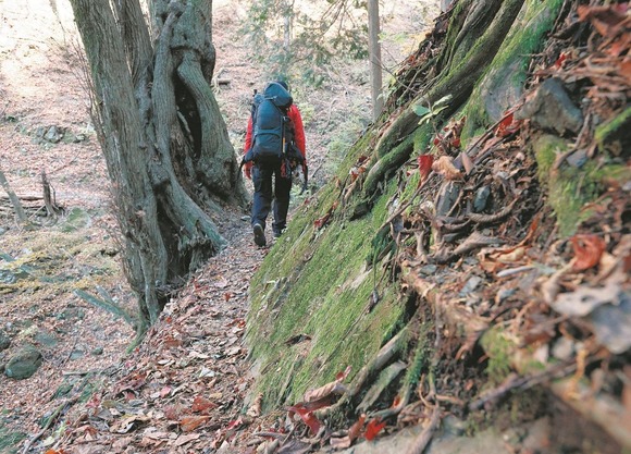 【奥多摩】東京で山岳遭難事故が相次いでいる・・・