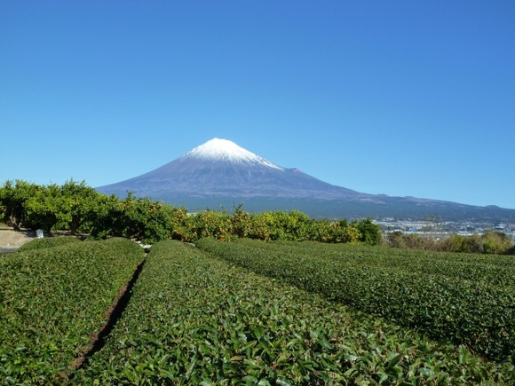 富士山は静岡と山梨どちらのものかという論争を、静岡県民の俺が公平にジャッジする