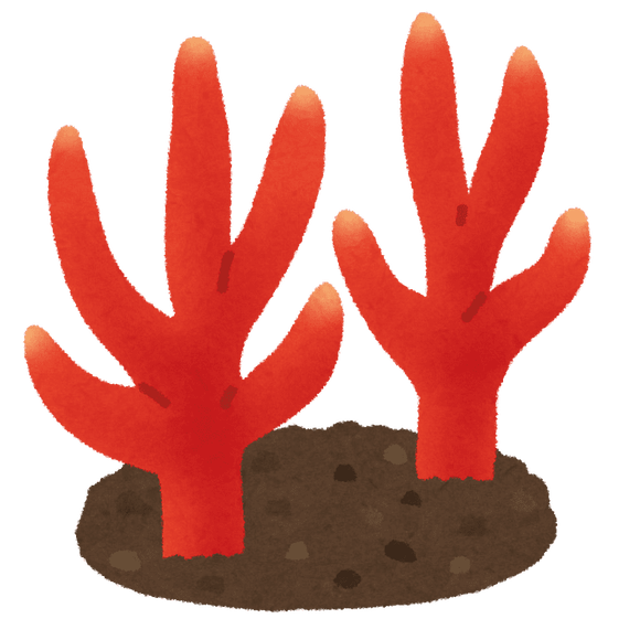 8 (1)