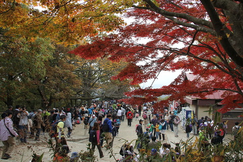高尾山
