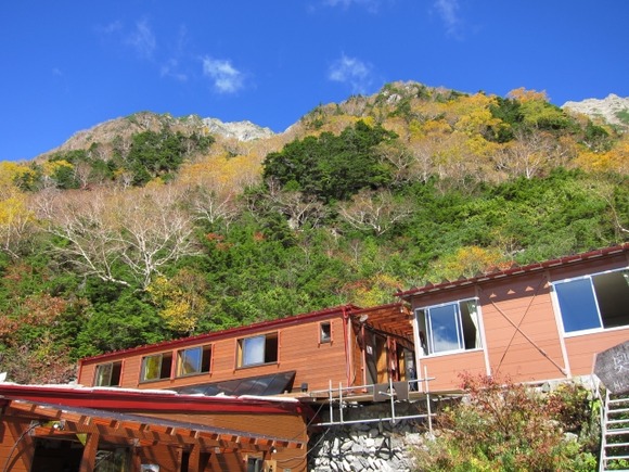岳沢小屋のテント場において熊がテントを襲う事案が発生