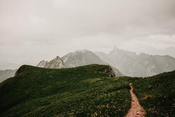 leandra-niederhauser-eaToegj7RI4-unsplash (1)