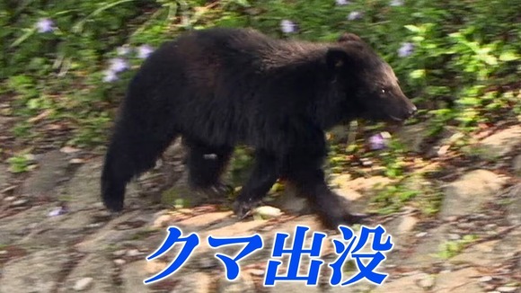 【岩手】露天風呂の清掃をしていた男性が行方不明　現場には血痕　クマに襲われたか