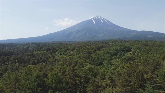 キノコ狩りの男性を救助　1人で樹海に入って約10分後に迷う
