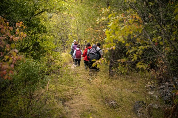 65歳過ぎて引退した人が、なぜ現役と同じ土日にわざわざ登山行くの？