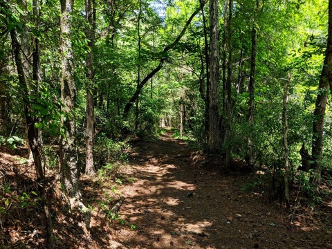 登山道