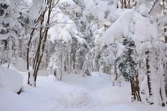 雪遊びでウインタートレッキンググローブなんて買おうと思ってるけど十分かな？