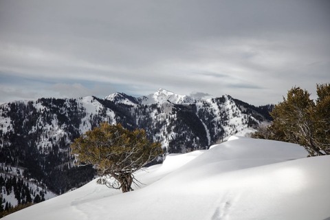 snow mountain