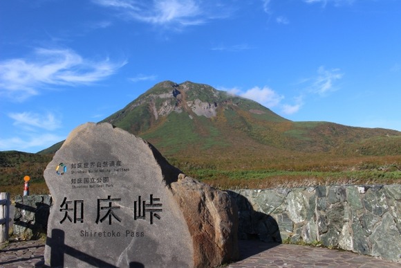 ロードバイクで知床峠。クマに出会ったらどうすればいいの？