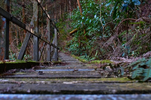 すまん近所の山来たけど迷った（笑）