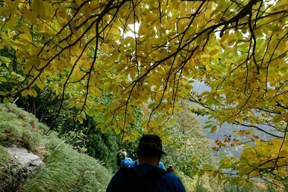 自分に合う靴のサイズがわからんくなった・・・