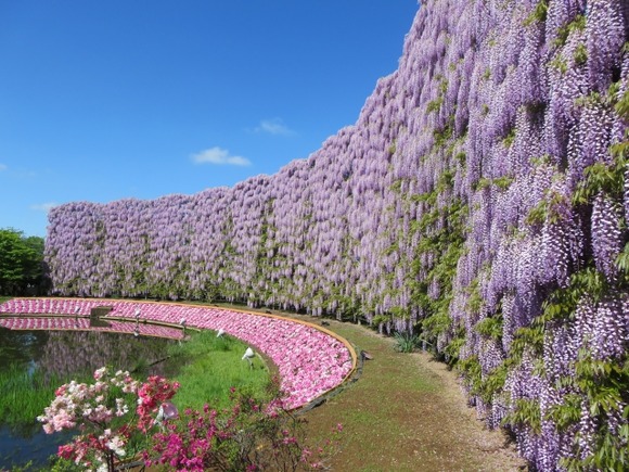 【栃木】海外ではディズニーランド、USJに次ぐ知名度…栃木県にある外国観光客が急増しているテーマパークの名前